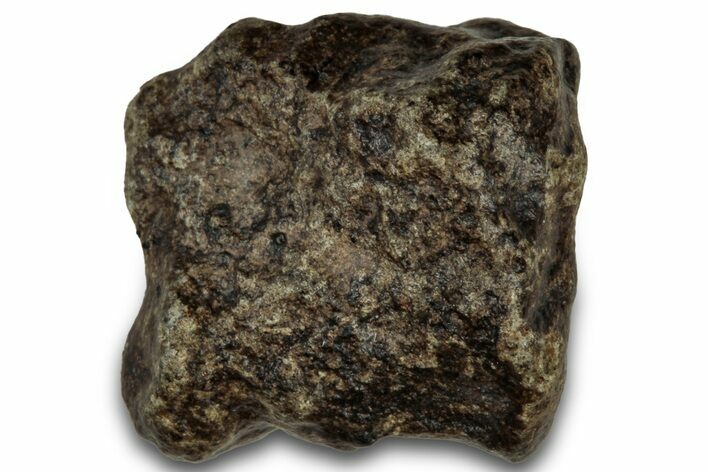Martian Shergottite Meteorite ( g) - Amgala #301026